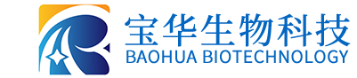 开云真人注册
